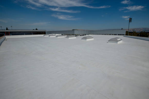 Best Skylight Installation and Repair  in Hebron, PA