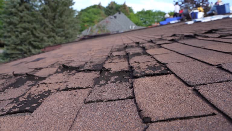 Best Roof Maintenance and Cleaning  in Hebron, PA